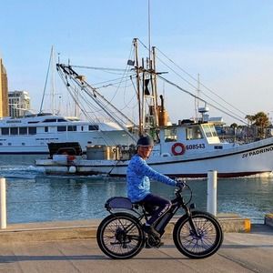 Meet your Posher, Dennis